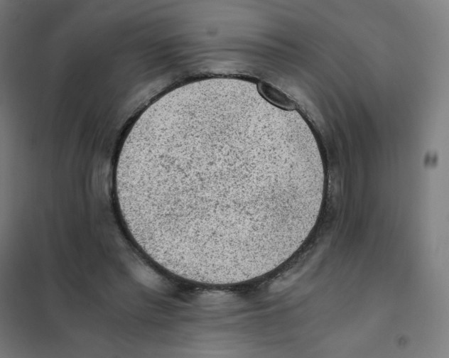 X0000101430397200808041156