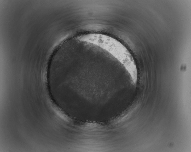 X0000101430399200808041156