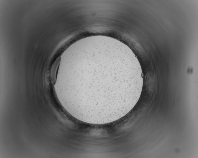 X0000101430400200808041156