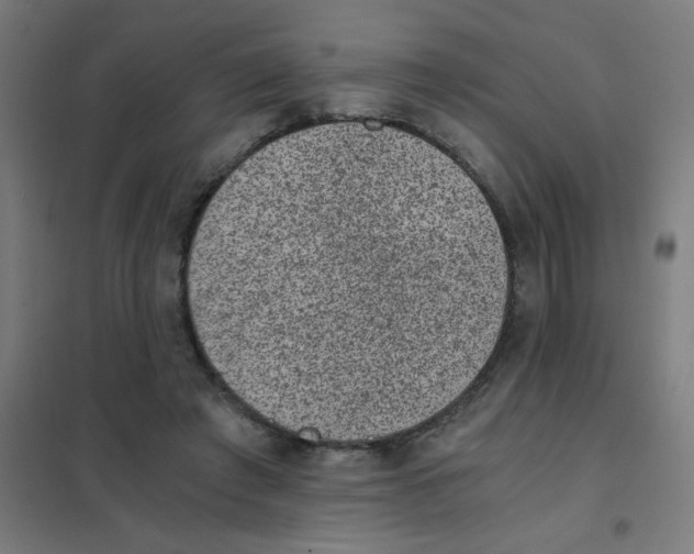 X0000101430401200808041156