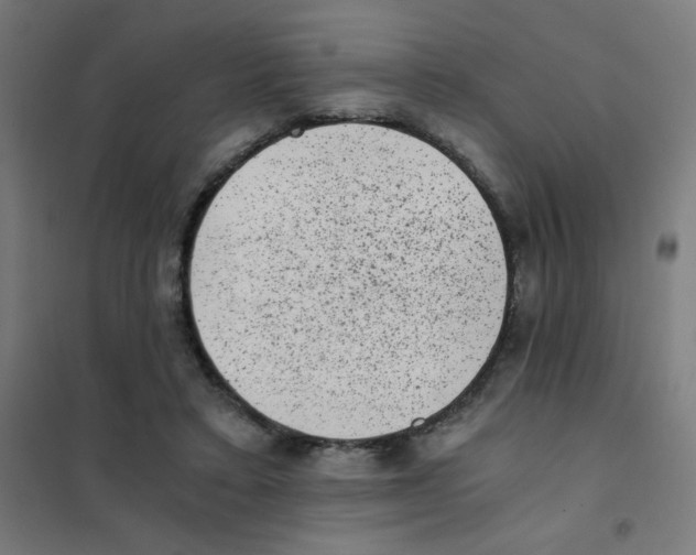 X0000101430403200808041156