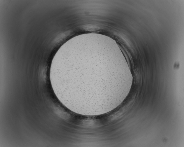 X0000101430404200808041156