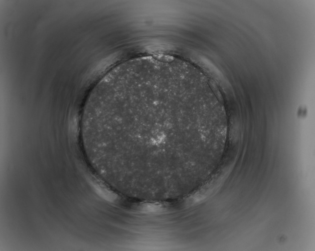 X0000101430405200808041156