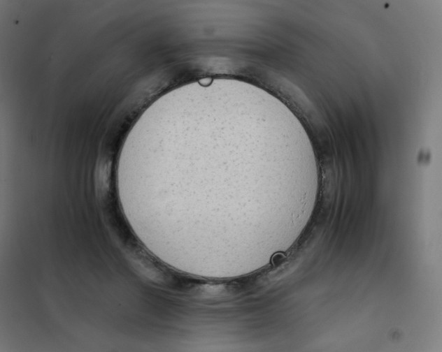 X0000101430406200808041156