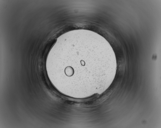 X0000101430408200808041156