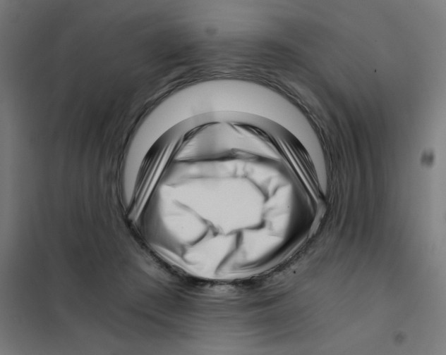 X0000101430409200808041156