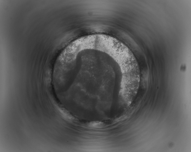 X0000101430410200808041156