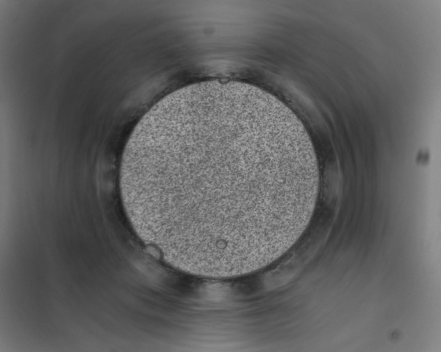 X0000101430413200808041156