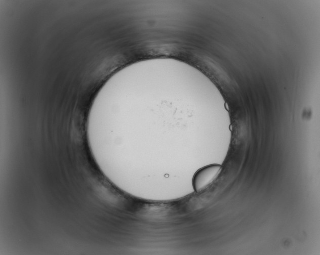 X0000101430414200808041156