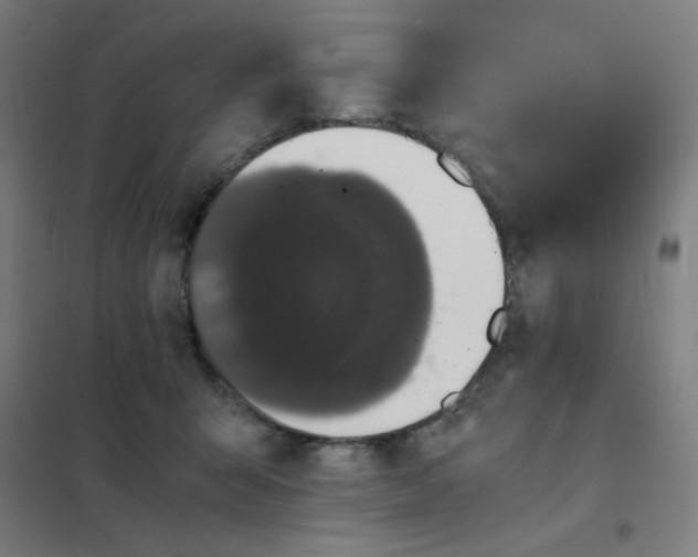 X0000101430415200808041156