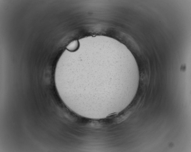 X0000101430416200808041156