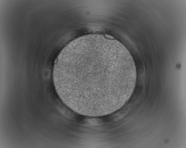 X0000101430417200808041156