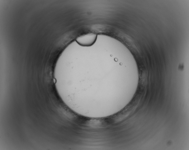 X0000101430418200808041156