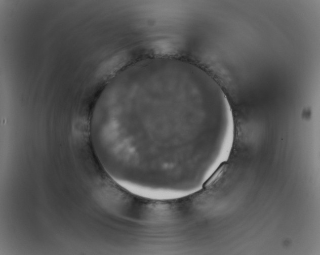 X0000101430419200808041156