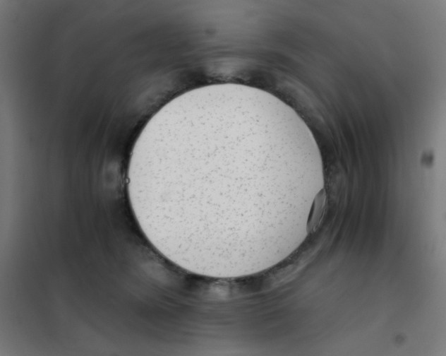 X0000101430420200808041156