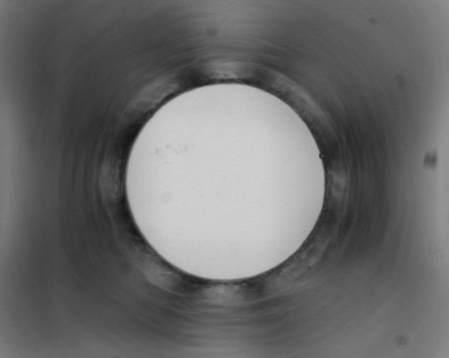 X0000101430422200808041156