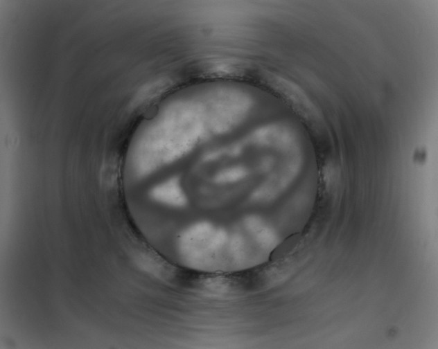 X0000101430423200808041156