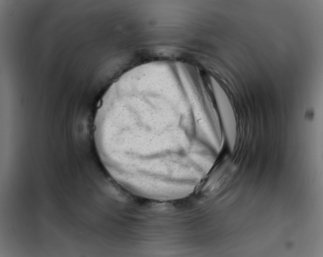 X0000101430424200808041156