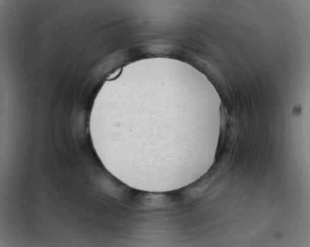 X0000101430428200808041155