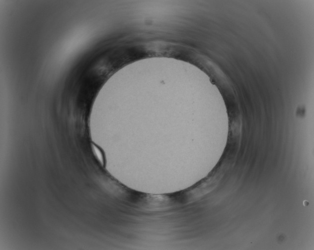 X0000101430429200808041155