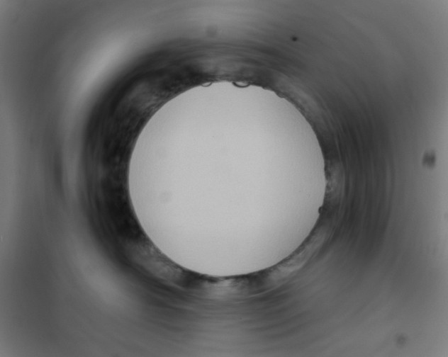 X0000101430430200808041155