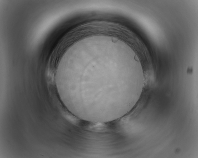 X0000101430431200808041155