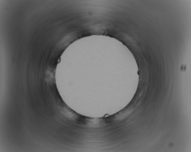 X0000101430432200808041155