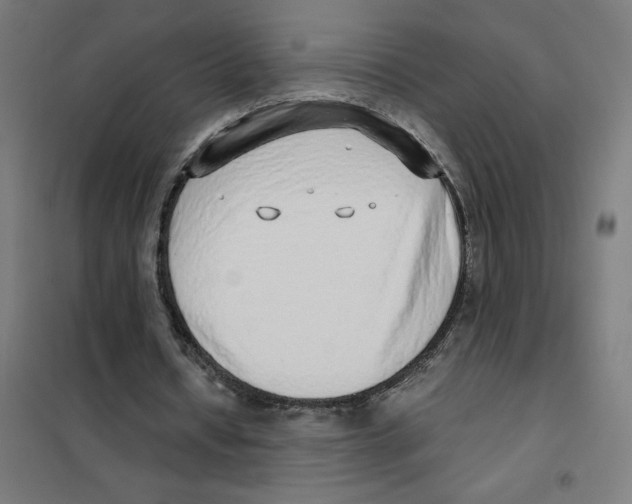 X0000101430434200808041155