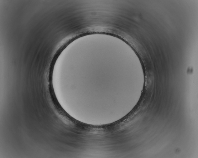 X0000101430438200808041155