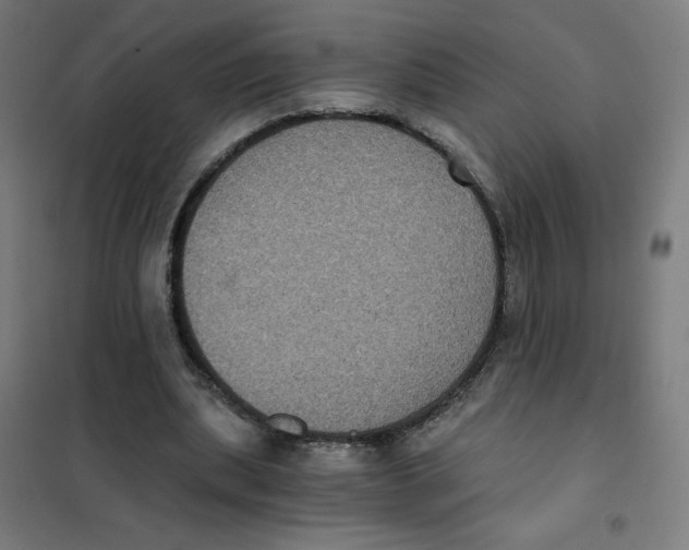 X0000101430439200808041155