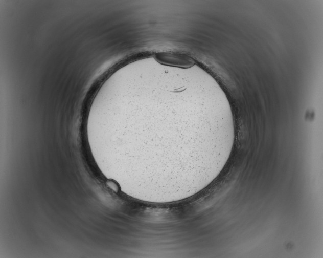 X0000101430440200808041155