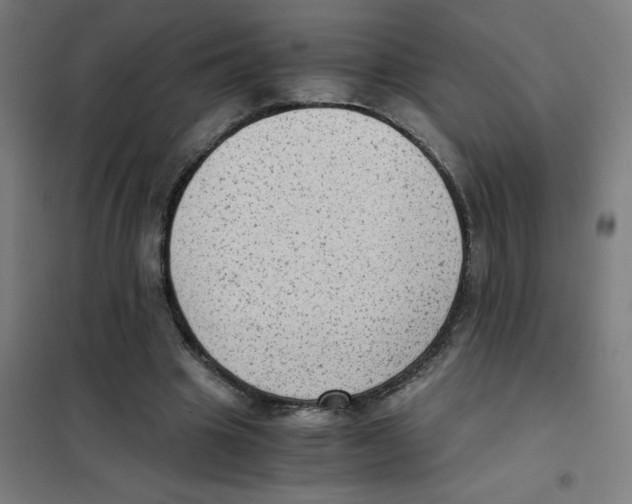 X0000101430441200808041155