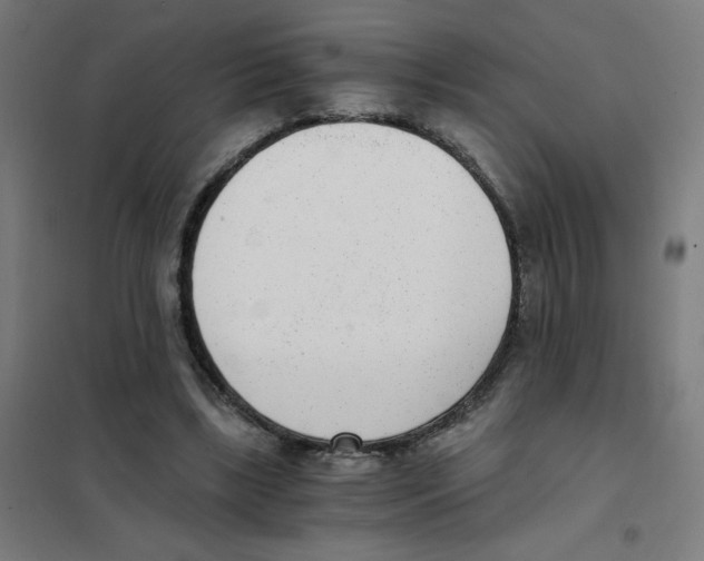 X0000101430443200808041155