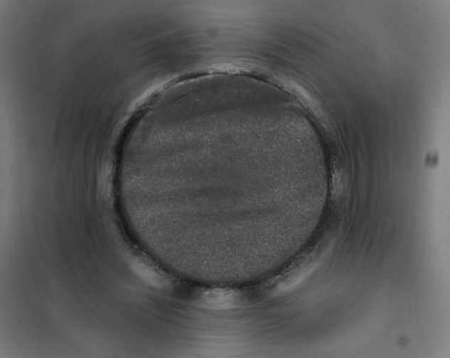 X0000101430444200808041155