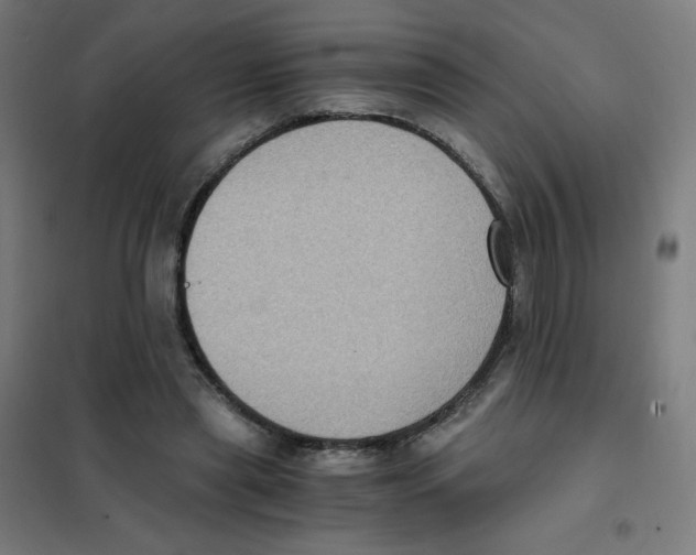 X0000101430445200808041155