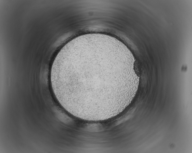 X0000101430446200808041155