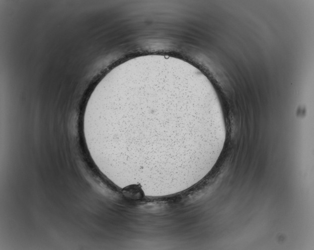 X0000101430447200808041155