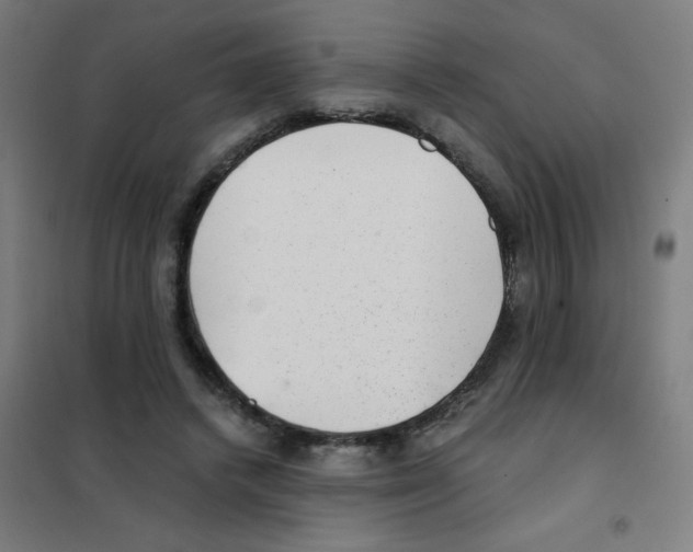 X0000101430448200808041155