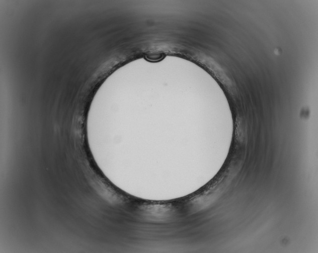 X0000101430449200808041155