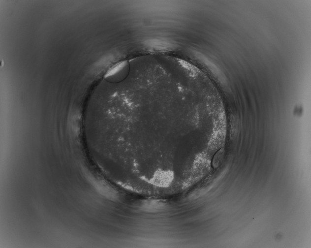 X0000101430451200808041155