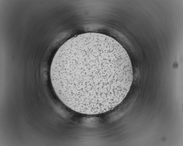 X0000101430452200808041155