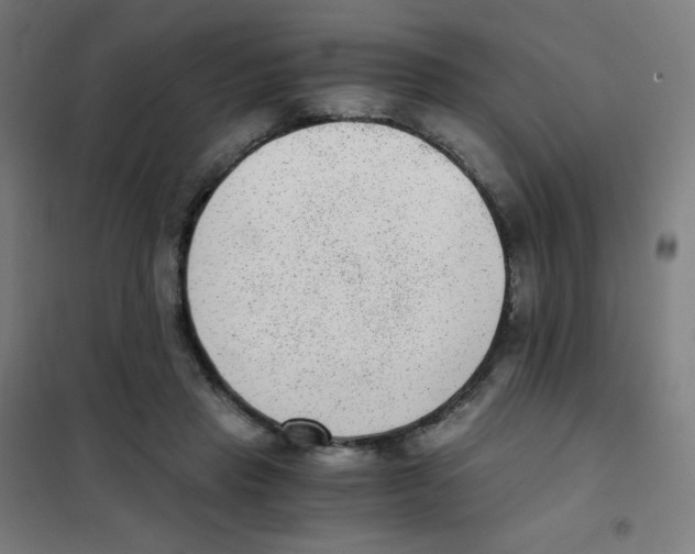 X0000101430453200808041155