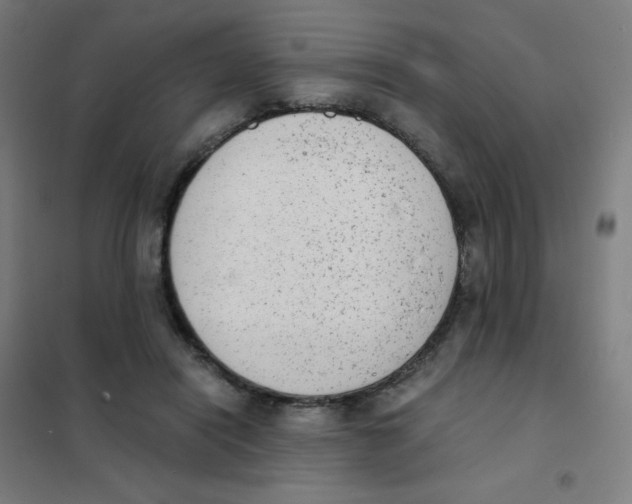 X0000101430454200808041155