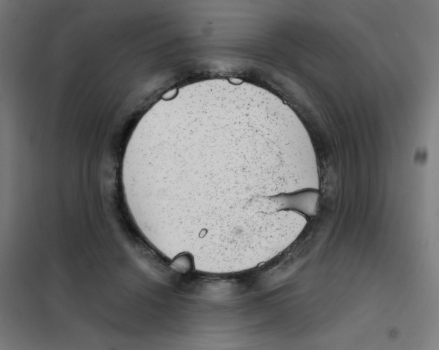 X0000101430456200808041155