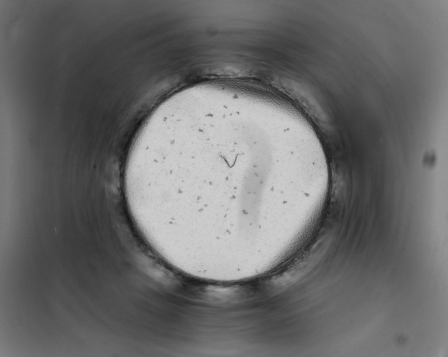 X0000101430457200808041155