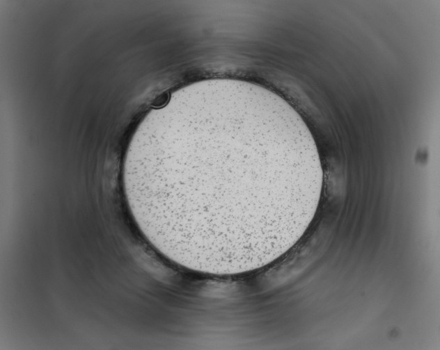 X0000101430458200808041155