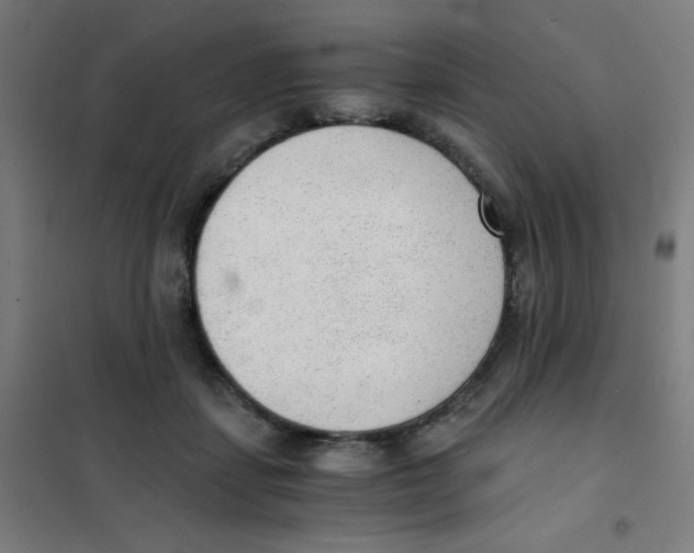 X0000101430459200808041155