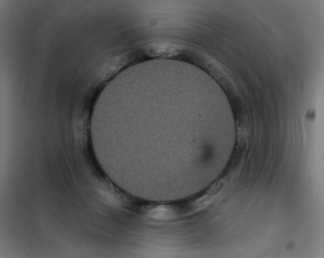 X0000101430460200808041155