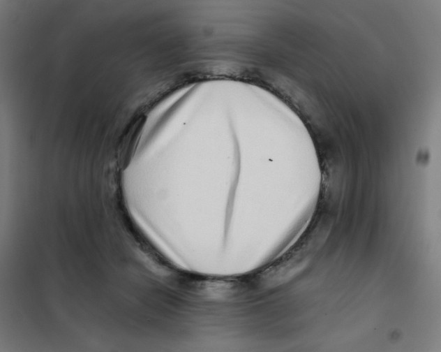 X0000101430462200808041155