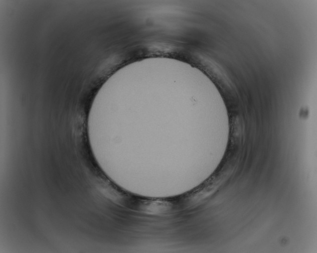 X0000101430463200808041155